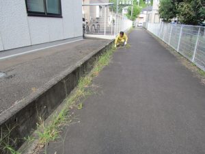 2025年10月14日,宮城県測量設計業協会仙台支部,環境美化活動,三善測量株式会社