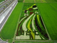 2015年は仙台七夕