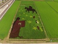 2016年は政宗と愛姫