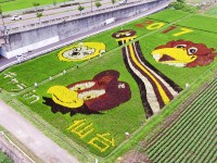 2017年はキャラin仙台