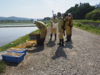 田んぼアート作業の様子
