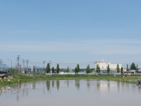 田んぼアート作業の様子