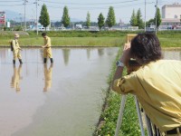 田んぼアート作業の様子